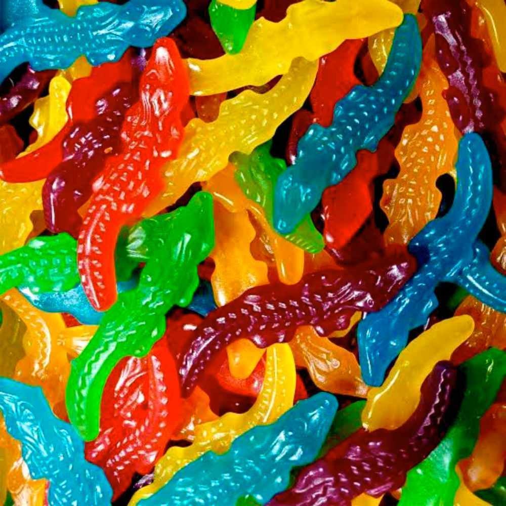 Mayceys Crocodiles NZ Canberra Candy mayceys-crocodiles-nz-canberra-candy